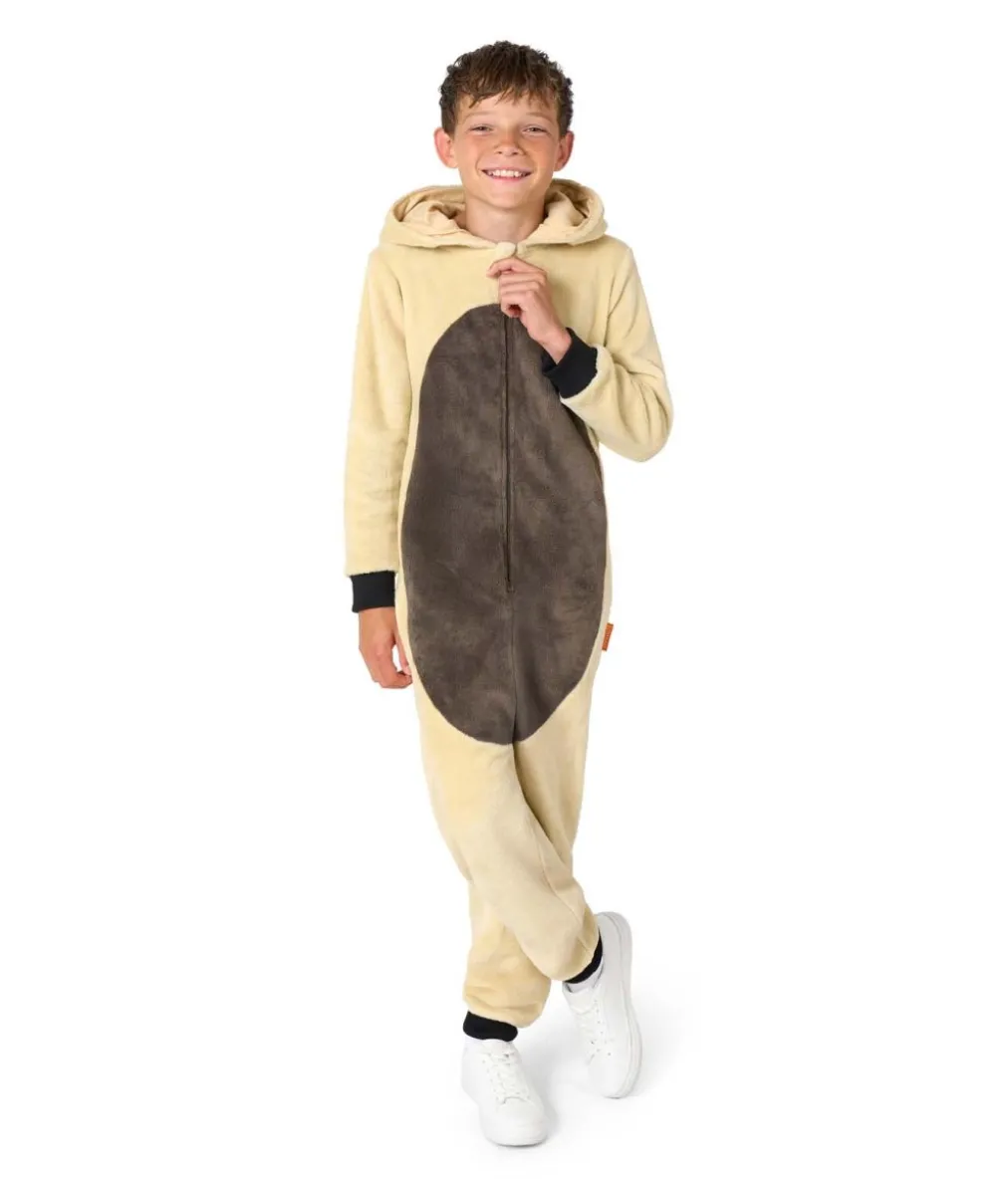 Appa kostume