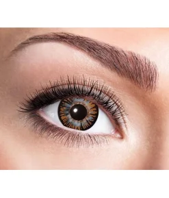 Brown Big Eye linser, 3 md