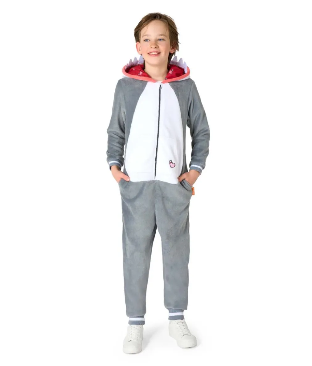 Haj kostume