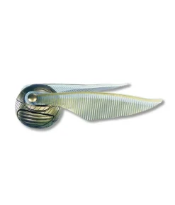 Harry Potters Golden Snitch
