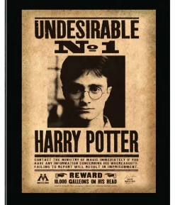 Harry Potter Undesirable No 1 billede