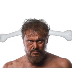Knogle gennem hoved