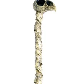 Krage stav