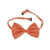 Orange butterfly