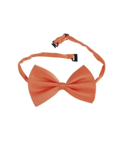 Orange butterfly