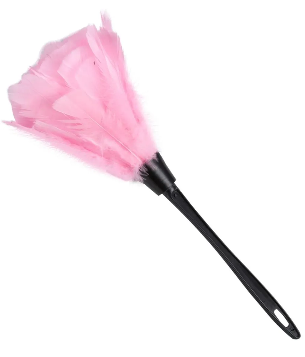 Pink støvkost