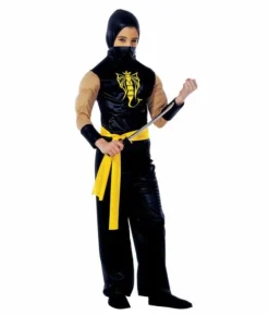 Power Ninja kostume