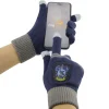 Ravenclaw hue og handsker, voksen