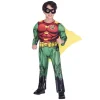 Robin kostume
