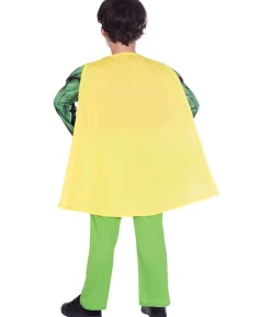 Robin kostume