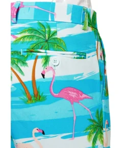 Sommer OppoSuit Flaminguy