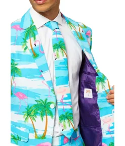 Sommer OppoSuit Flaminguy