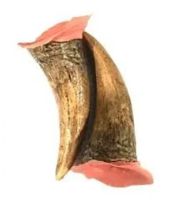 Store horn i latex