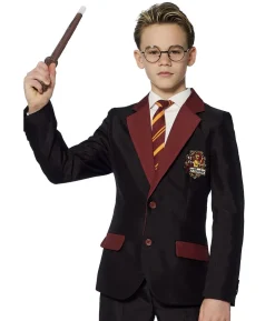 Suitmeister Harry Potter