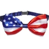 USA butterfly